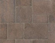 Cambridge Cobble - Fossil Beige