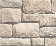 Limestone - Austin Cream 